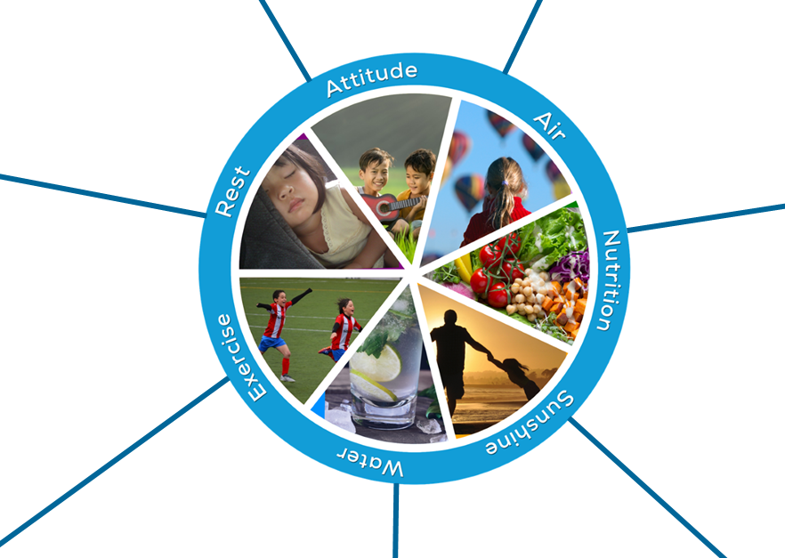 Part 3: Student Healthcare Review
